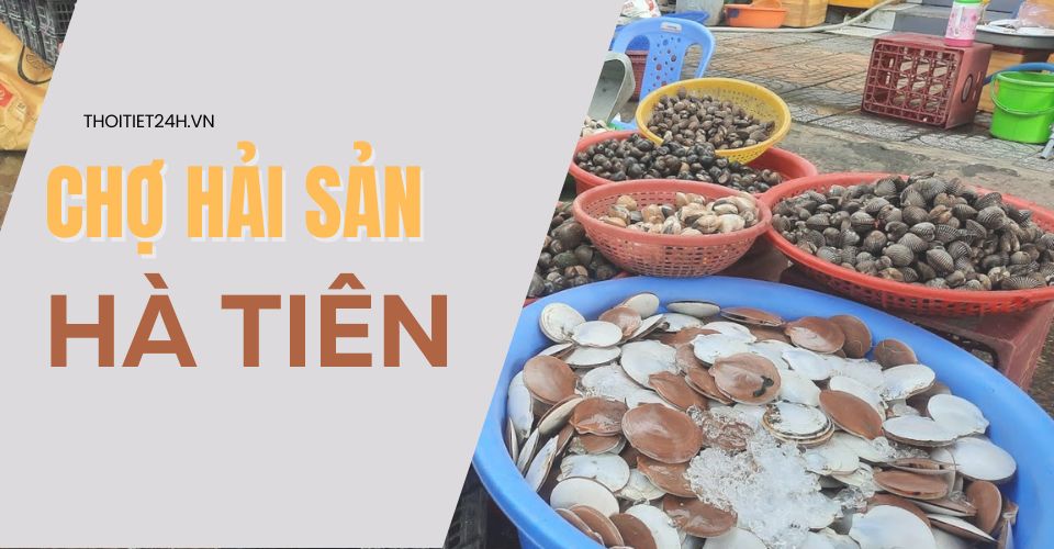 Chợ hải sản Hà Tiên - Khu chợ “giá rẻ giật mình” tại Kiên Giang